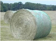 round Hay bale Agricultural Netting 
